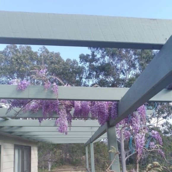 Meet your Posher, Ruth - Picture 1 of 1